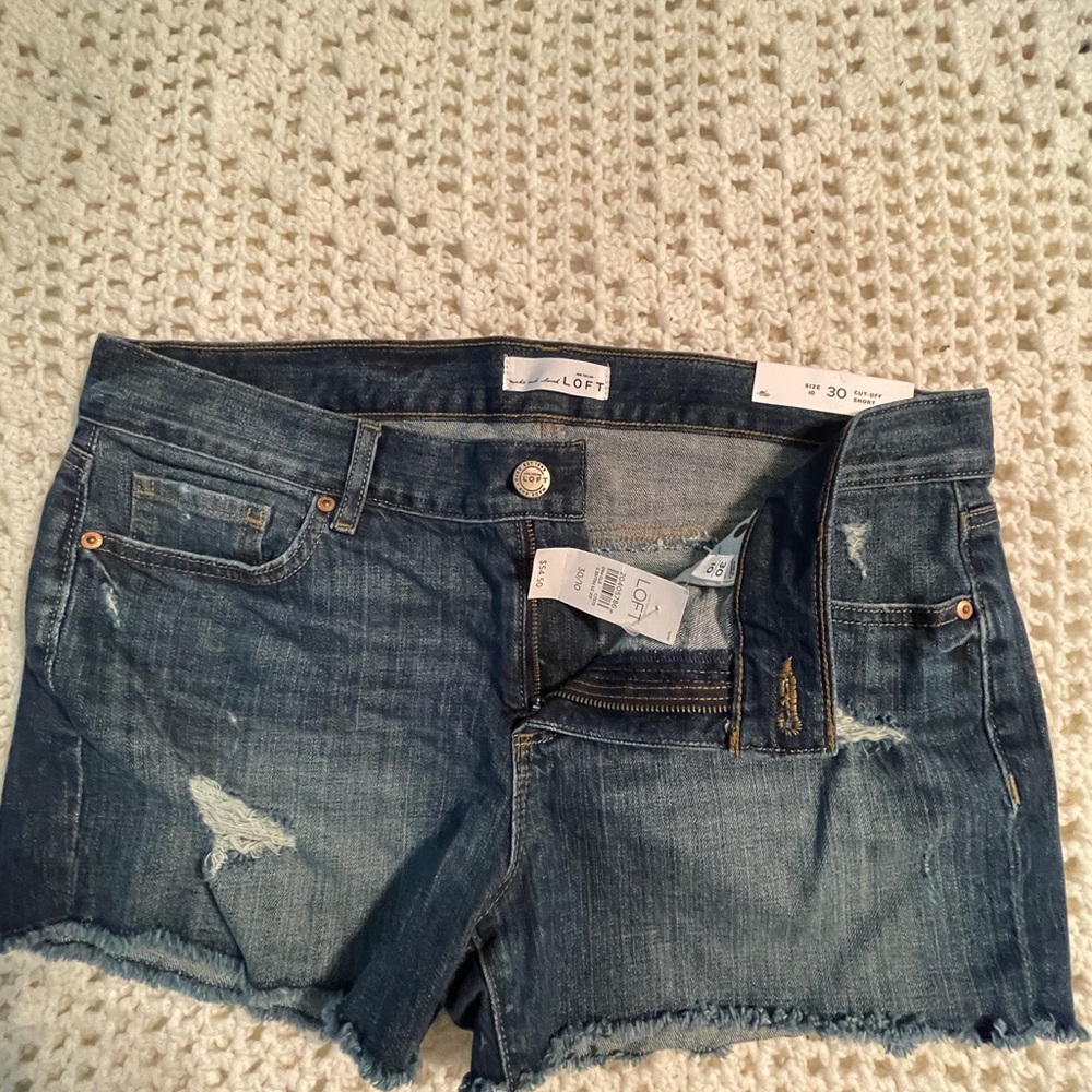 Loft cut off shorts so 10/30 NWT